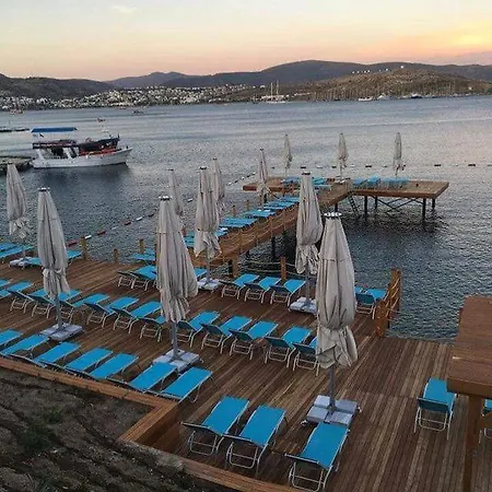 Διαμέρισμα Aura *